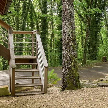 Cosy Perche Dans Les Arbres Au Coeur Du Perigord Proche Sarlat * Castels
