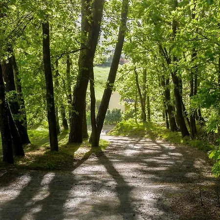 Holiday home Cosy Perche Dans Les Arbres Au Coeur Du Perigord Proche Sarlat Castels